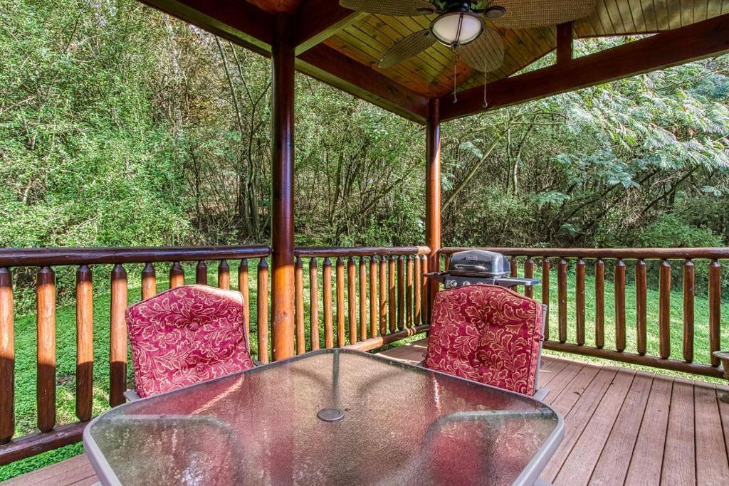 Papa Bear, Hot Tub, Wifi, 1089 Free Tickets Each Paid Day, Dollywood And More Сивиървил Екстериор снимка