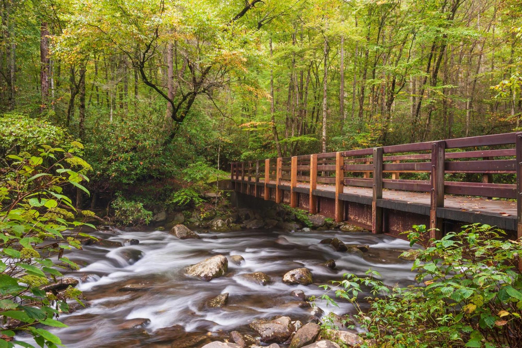 Papa Bear, Hot Tub, Wifi, 1089 Free Tickets Each Paid Day, Dollywood And More Сивиървил Екстериор снимка